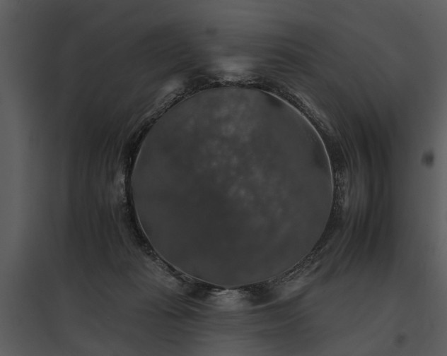 X0000095670269200801151110