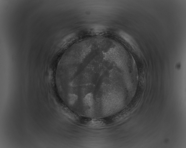 X0000095670270200801151110