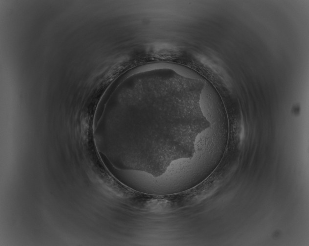 X0000095670271200801151110