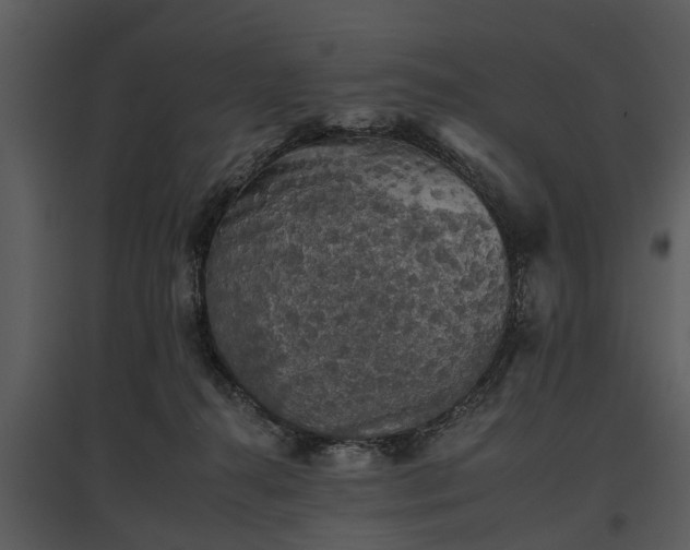 X0000095670272200801151110