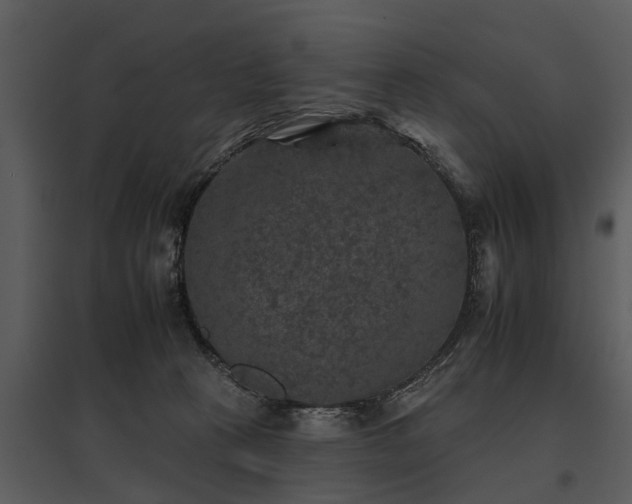 X0000095670273200801151110