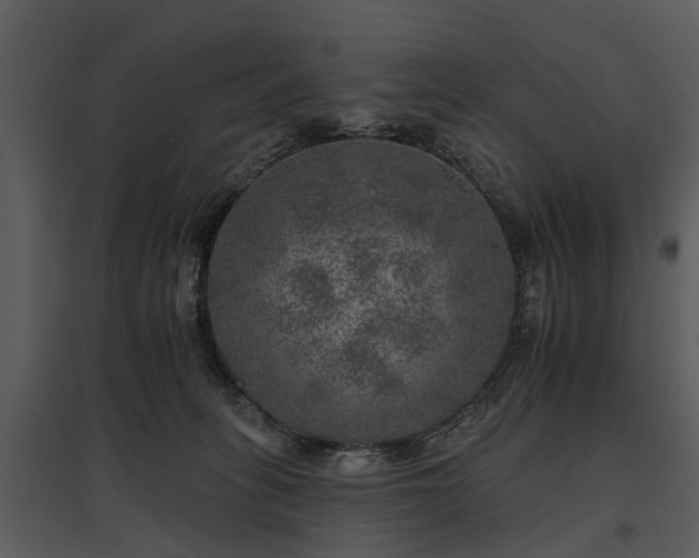 X0000095670275200801151110