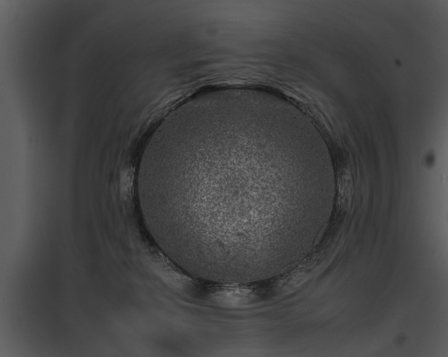 X0000095670278200801151110