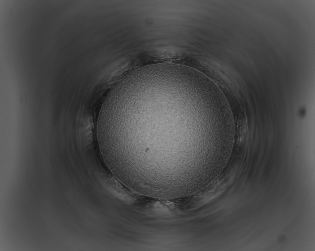 X0000095670279200801151110