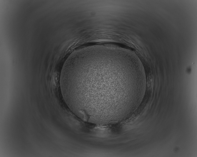 X0000095670280200801151110