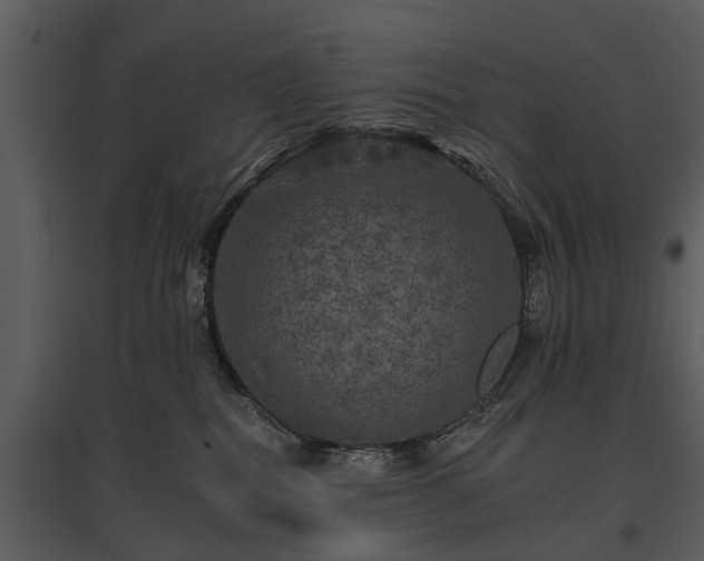 X0000095670282200801151110