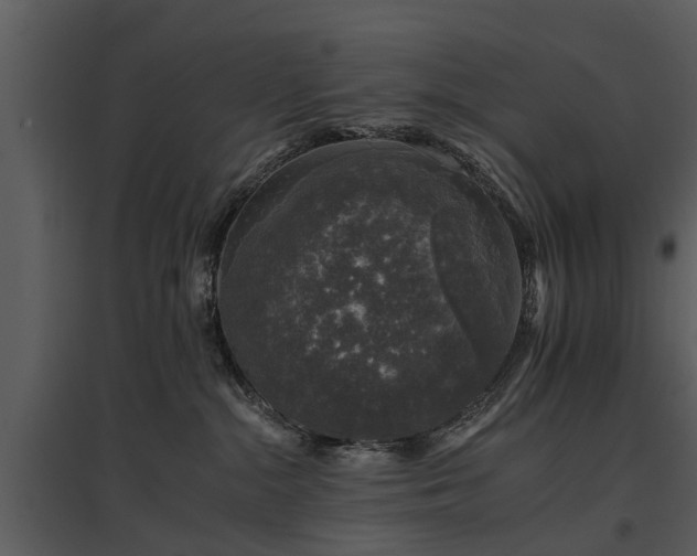 X0000095670284200801151110