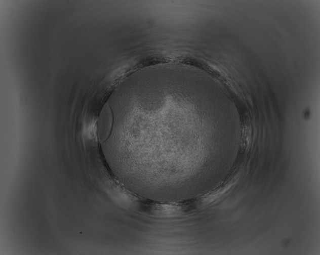 X0000095670286200801151110