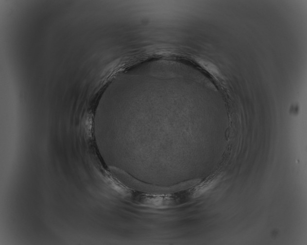 X0000095670288200801151111