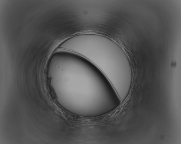 X0000095670289200801151110