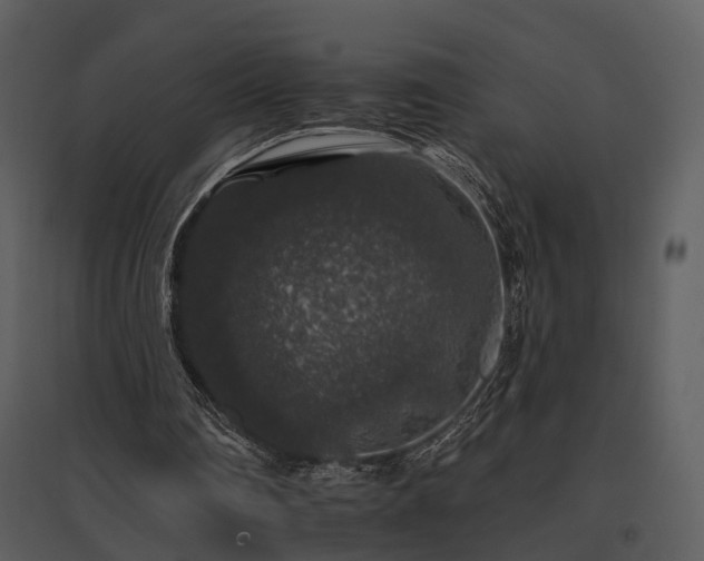 X0000095670290200801151110