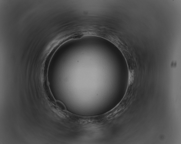 X0000095670291200801151110