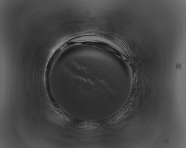 X0000095670292200801151110