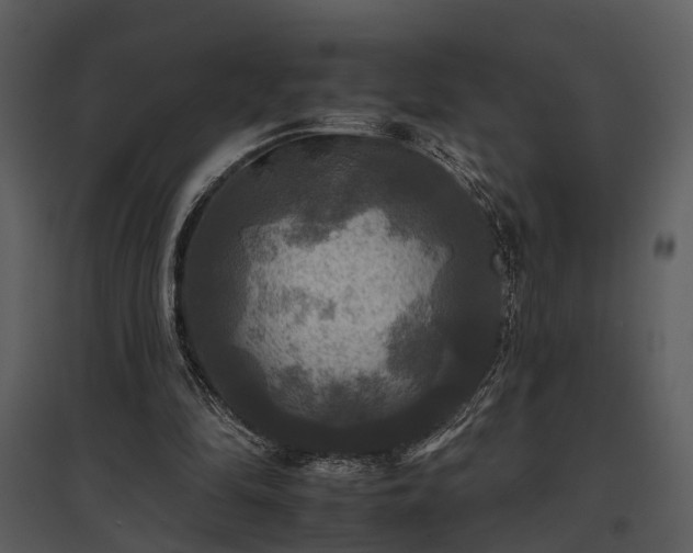 X0000095670294200801151110