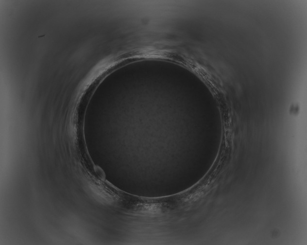 X0000095670295200801151110