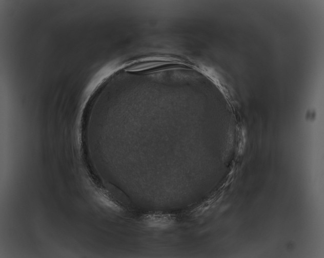 X0000095670296200801151110