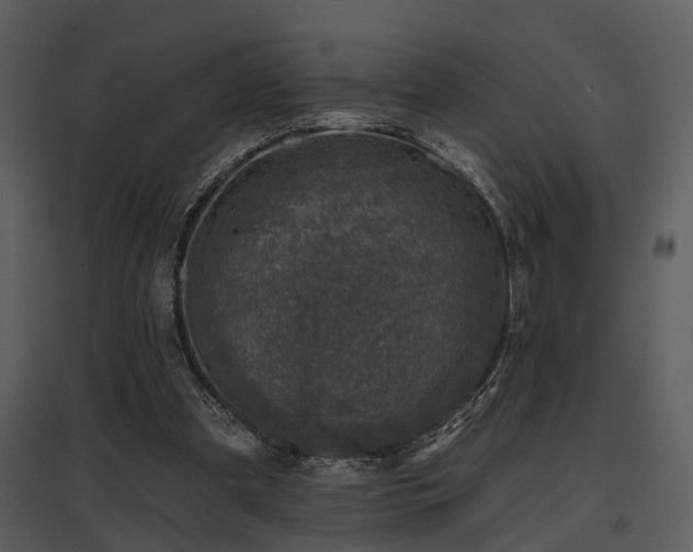 X0000095670297200801151110