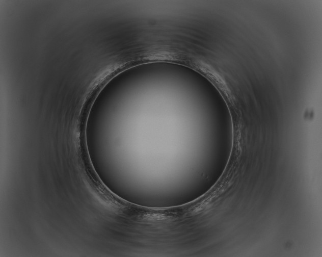 X0000095670298200801151110