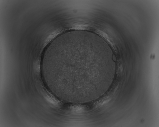 X0000095670299200801151110