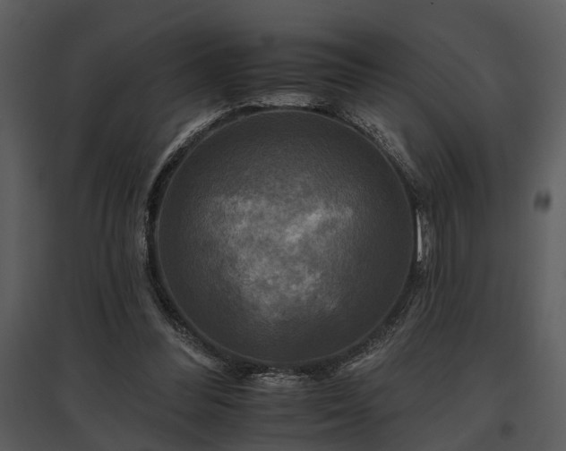 X0000095670300200801151110