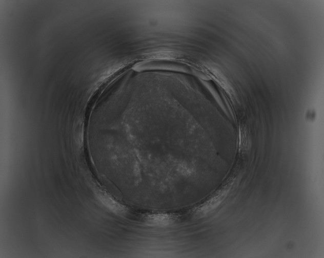 X0000095670301200801151110