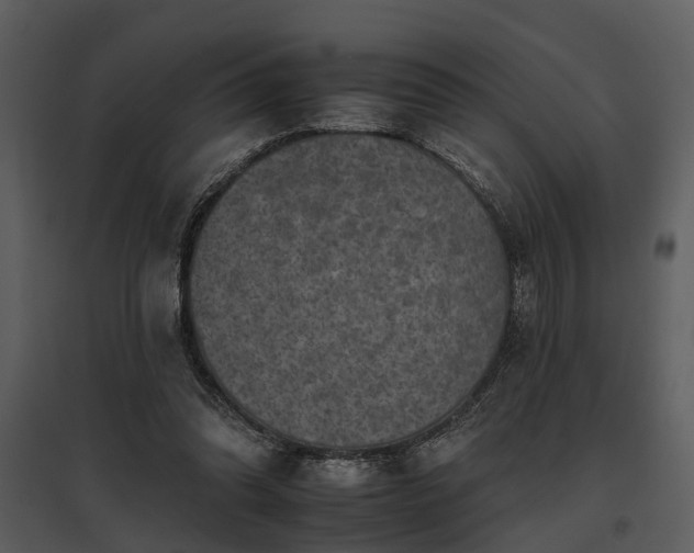 X0000095670302200801151110