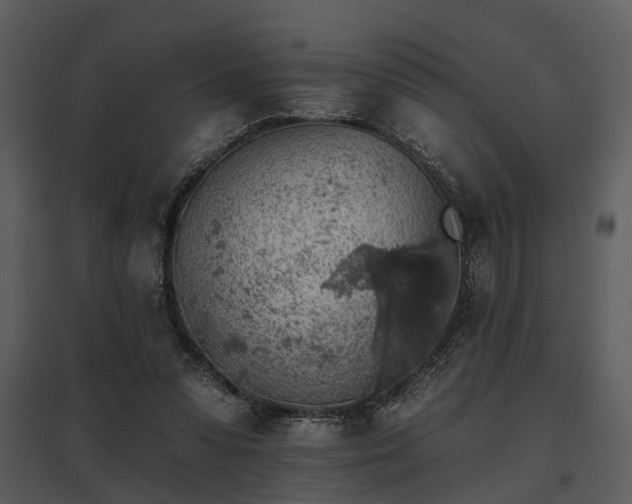 X0000095670303200801151110