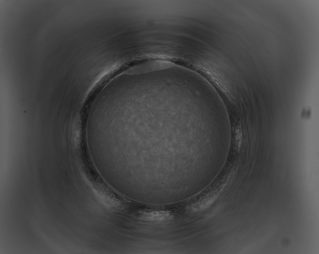 X0000095670304200801151110