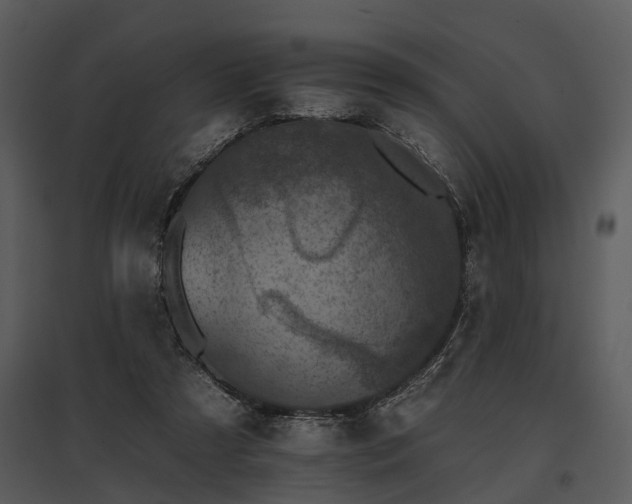 X0000095670305200801151110