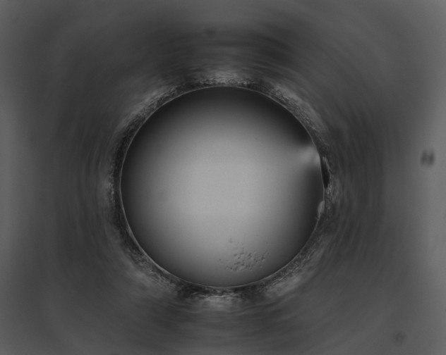 X0000095670306200801151110