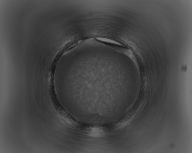 X0000095670308200801151110