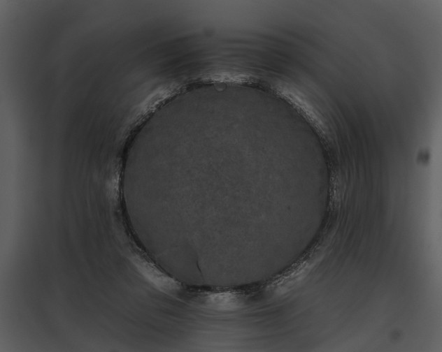 X0000095670309200801151110