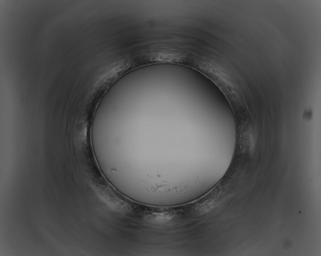 X0000095670310200801151110