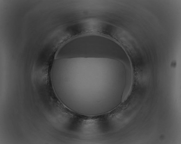 X0000095670312200801151110