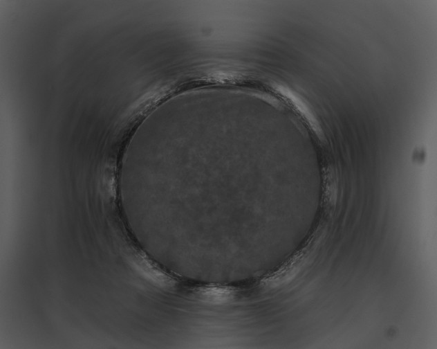 X0000095670313200801151110