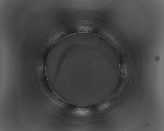 X0000095670314200801151110