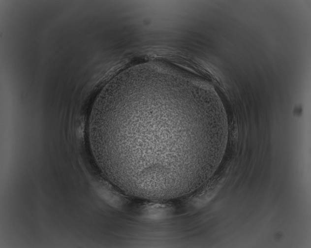 X0000095670315200801151110