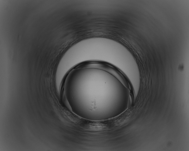 X0000095670316200801151109