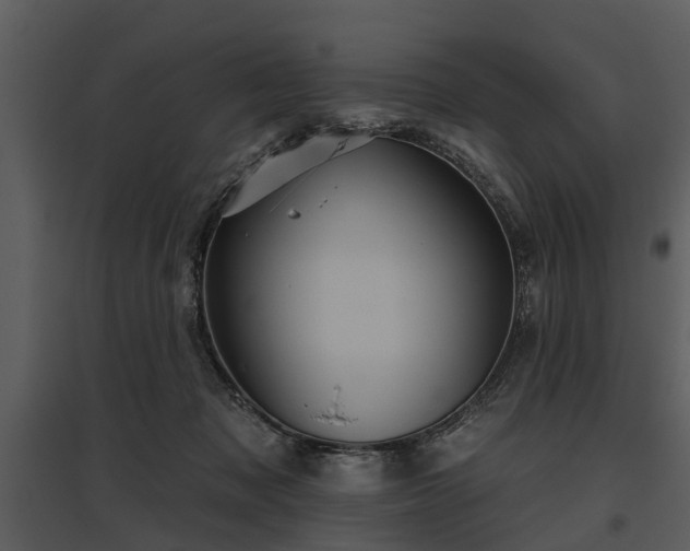 X0000095670317200801151109