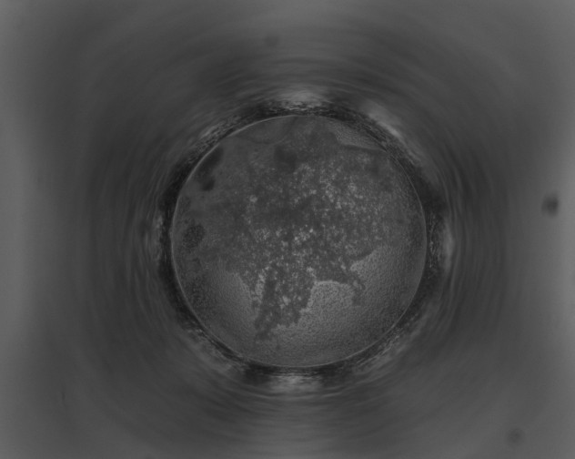 X0000095670319200801151109