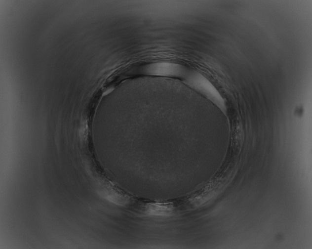 X0000095670320200801151109