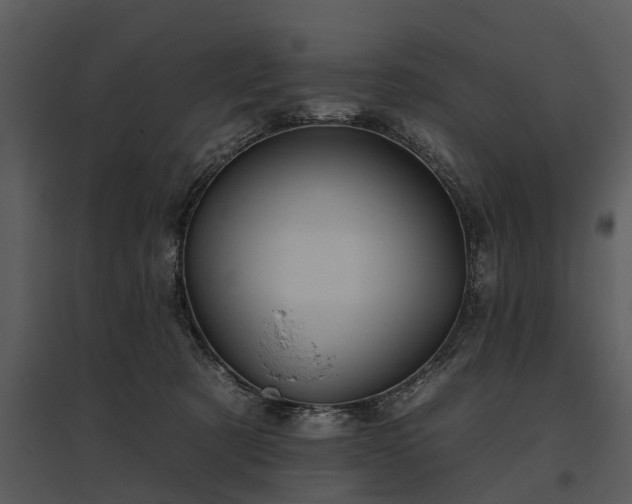 X0000095670321200801151109