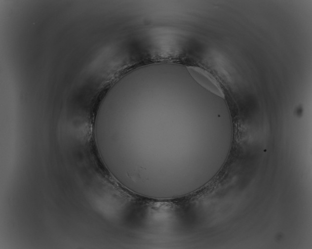 X0000095670324200801151109