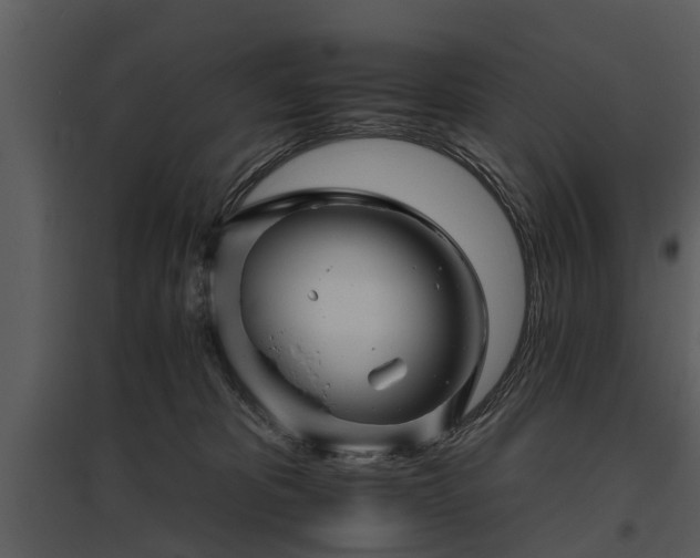 X0000095670325200801151109