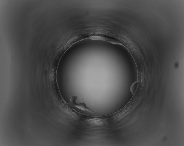 X0000095670326200801151109