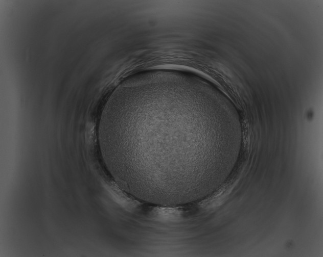 X0000095670327200801151109