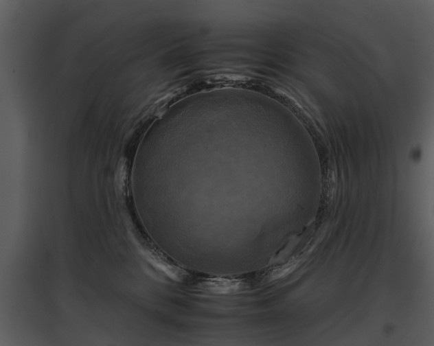 X0000095670328200801151109