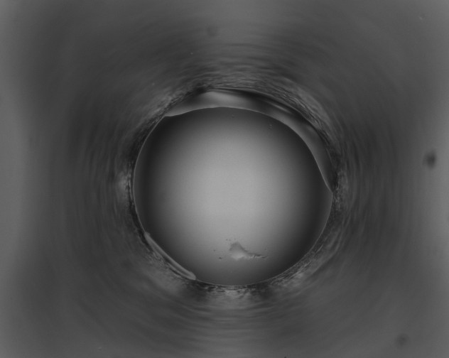 X0000095670329200801151109