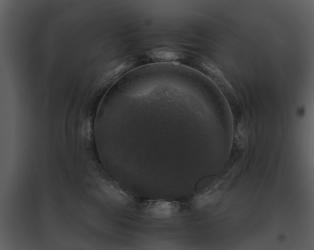 X0000095670330200801151109