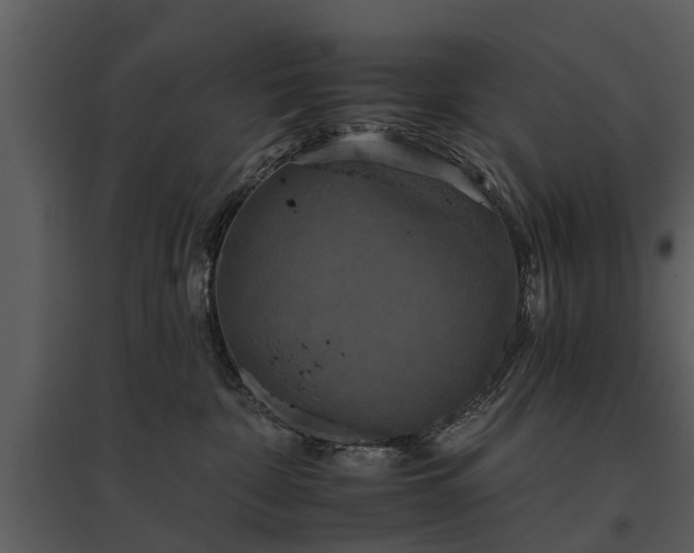 X0000095670332200801151109